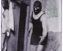 Stegosaurus/Right Shitty/Pastel Skeleton