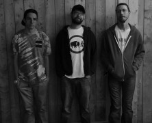 The Torinos + The Royal Volts