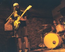 Stegosaurus + guests