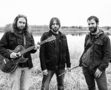 The Tortoise The Hare & the Millionaire