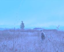 Kurtis Eugene + Blue Lobelia + guests