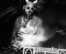 Elephant Skeletons + Math Class + guests