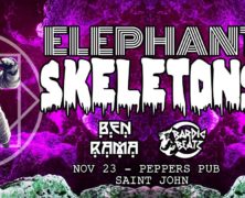 Elephant Skeletons + guests